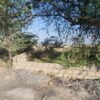 commercial property in chakwal