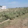 80 marla land for sale