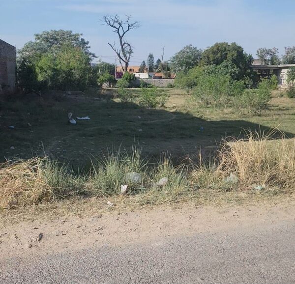 plot in chakwal
