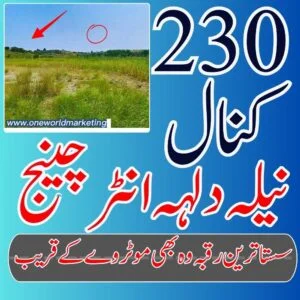 230 Kanal Agricultural Land for Sale Near Neela Dullah Interchange, Chakwal – Ideal for Farm & Business Projects
